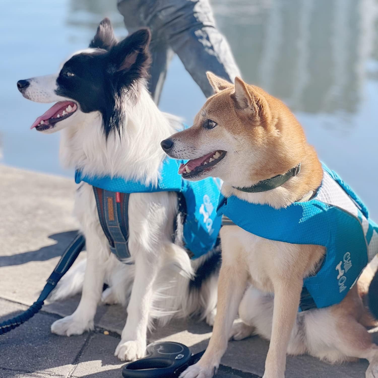 Dog Pool Float Dog Life Jacket,Dog Life Vest,Dog Life Vest for Boat,Dog Vest,Dog Jacket,Dog Life Vests for Swimming,With Superior Buoyancy & Rescue Handle