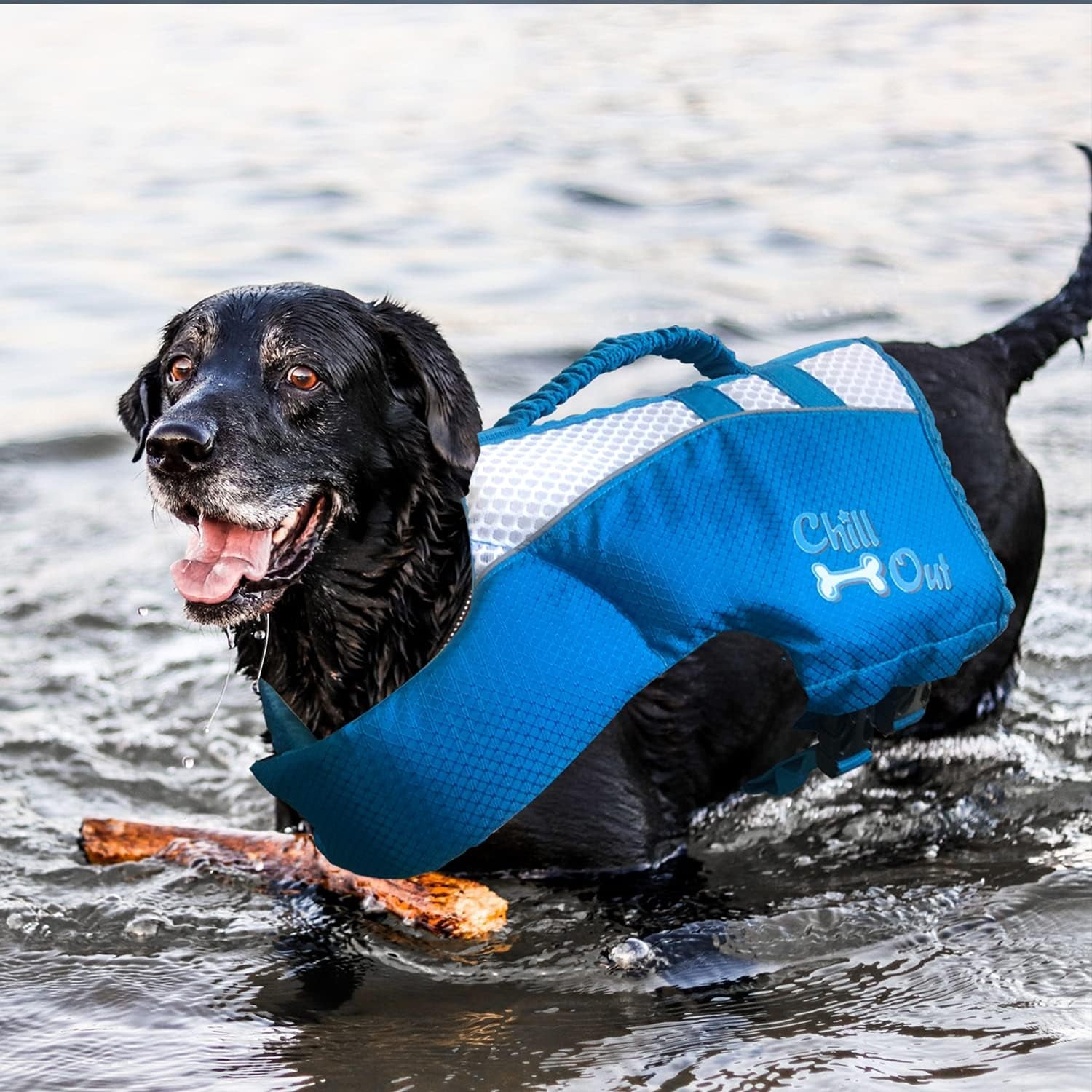 Dog Pool Float Dog Life Jacket,Dog Life Vest,Dog Life Vest for Boat,Dog Vest,Dog Jacket,Dog Life Vests for Swimming,With Superior Buoyancy & Rescue Handle